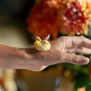 Crème de potiron grillé et Comté X Sofie Dumont